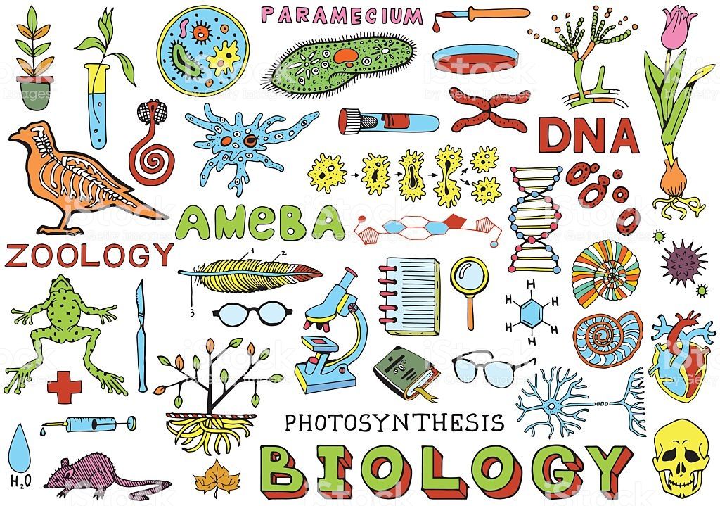  Biología II 2022