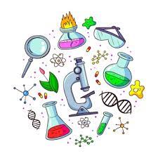 Bioquimica y Biofisica 2024