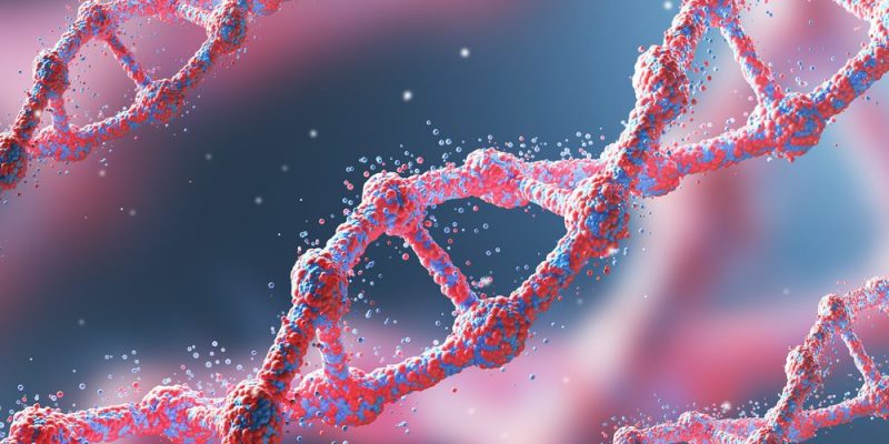 Bioquímica 2025