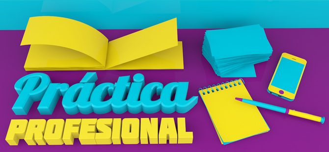 Práctica Profesional I